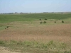 North side of pasture